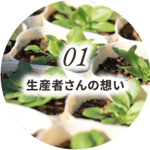生産者さんの想い