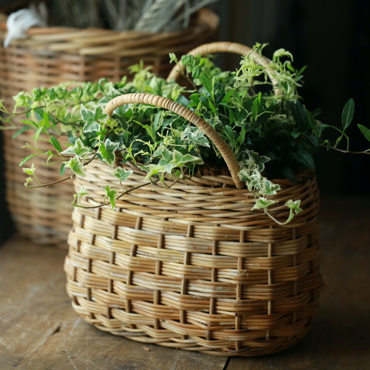 1点もの】広野園芸さんの爽やかリーフバスケット | アトリエ華もみじ