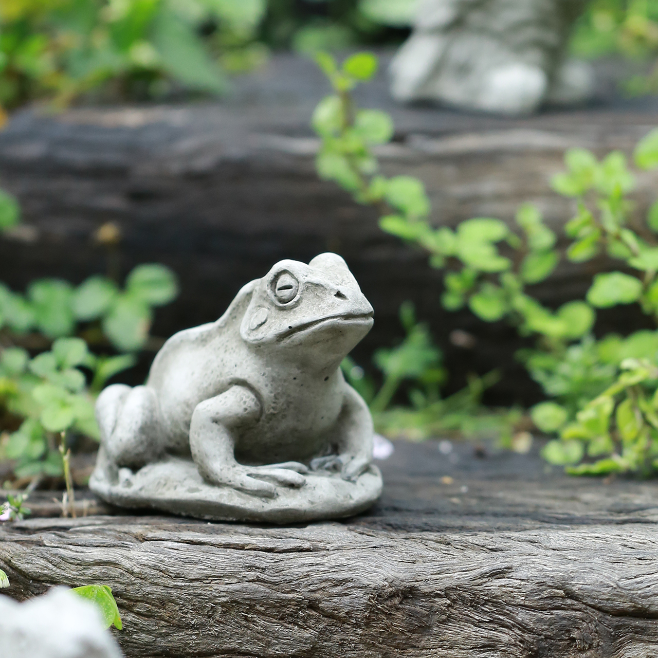 カエル | アトリエ華もみじ