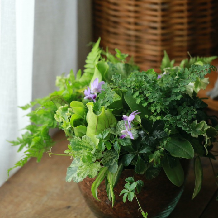 可愛い。爽やかグリーンバスケット✳︎寄せ植え✳︎ブラコラージュフラワー