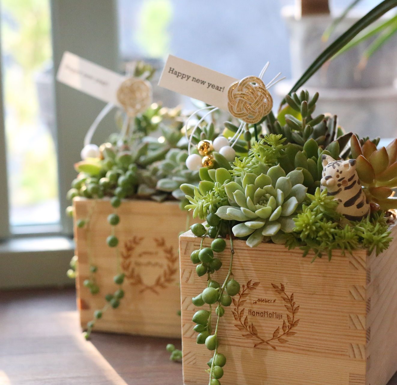 【予約販売】自分で植える・干支人形つき多肉植物の苗セット 