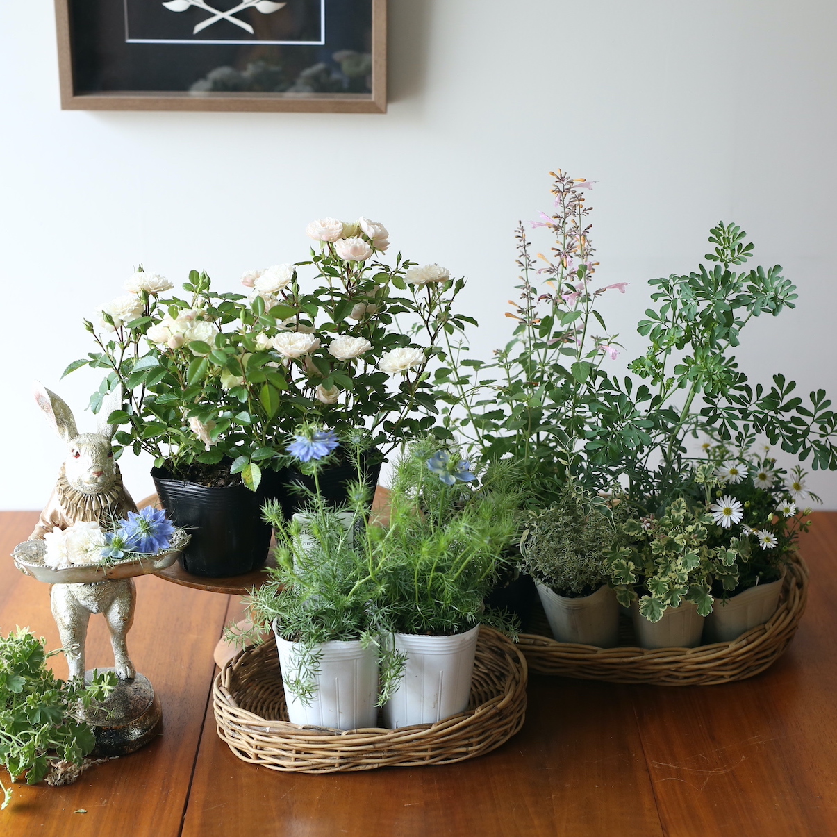 花入れ hset_8A5A6268.jpg