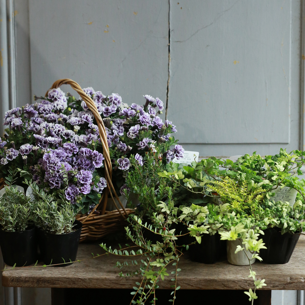 ヴェネチアン 花入 美品 hset_2M4A6935.jpg