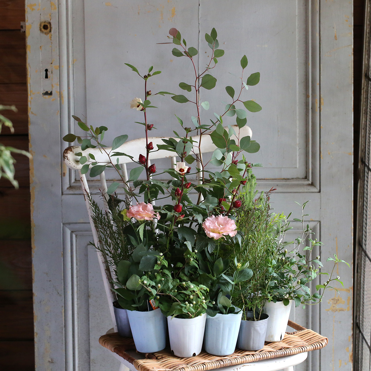 Rady トロピカルフラワー 2枚セット hset_1B5A1813.jpg