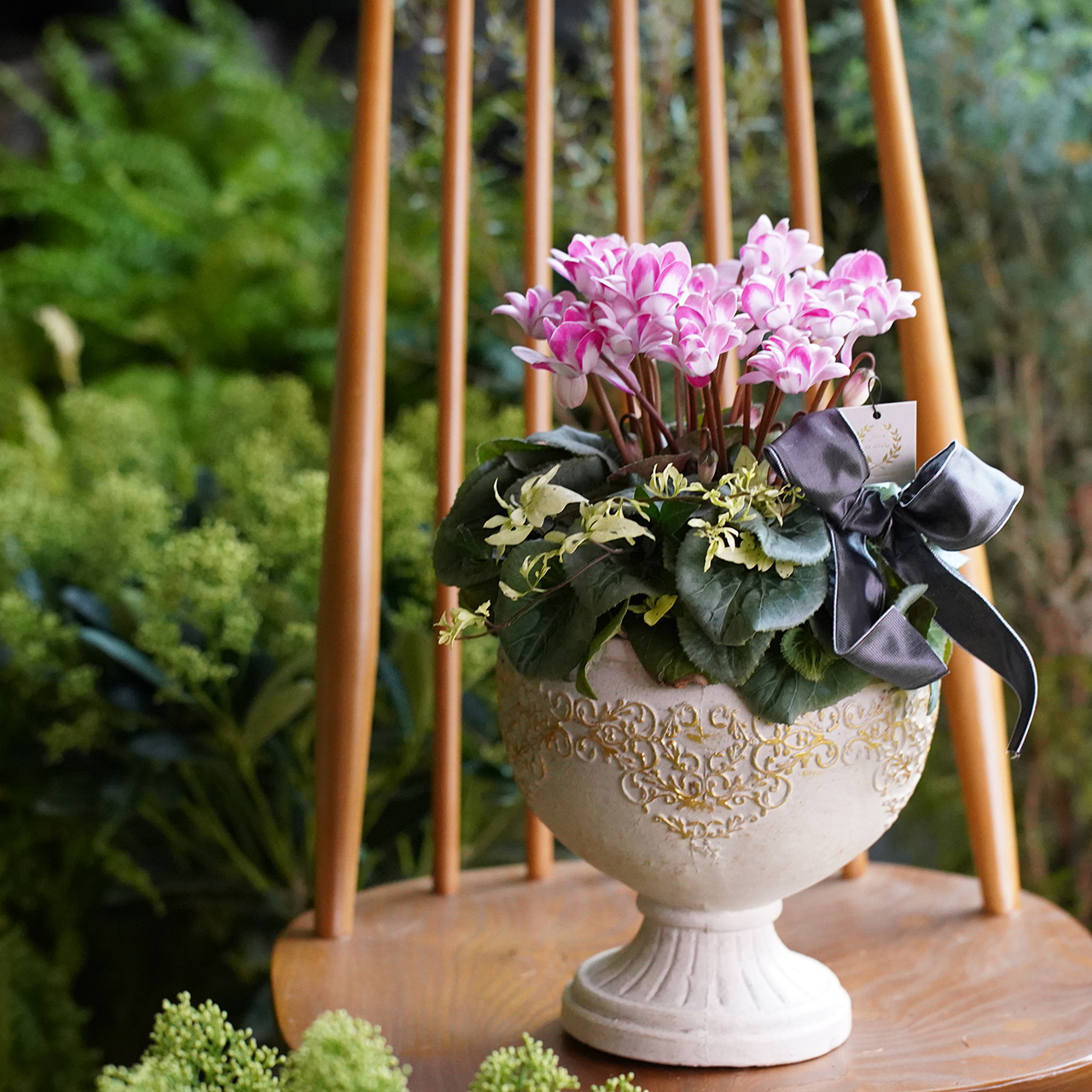 シクラメンのダマスクラウンドカップ植え（東京発送） | アトリエ華