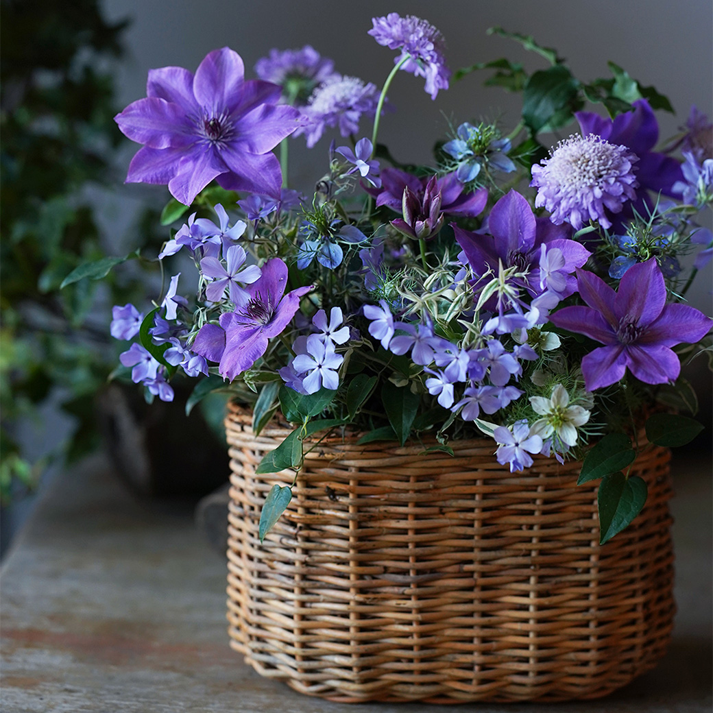 hydrangea様 リクエスト 3点 まとめ商品 hset_DSC0023211.jpg