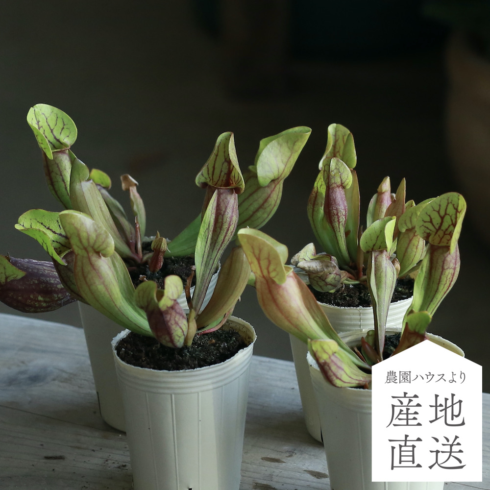single_resize_2M4A0142_2.jpg