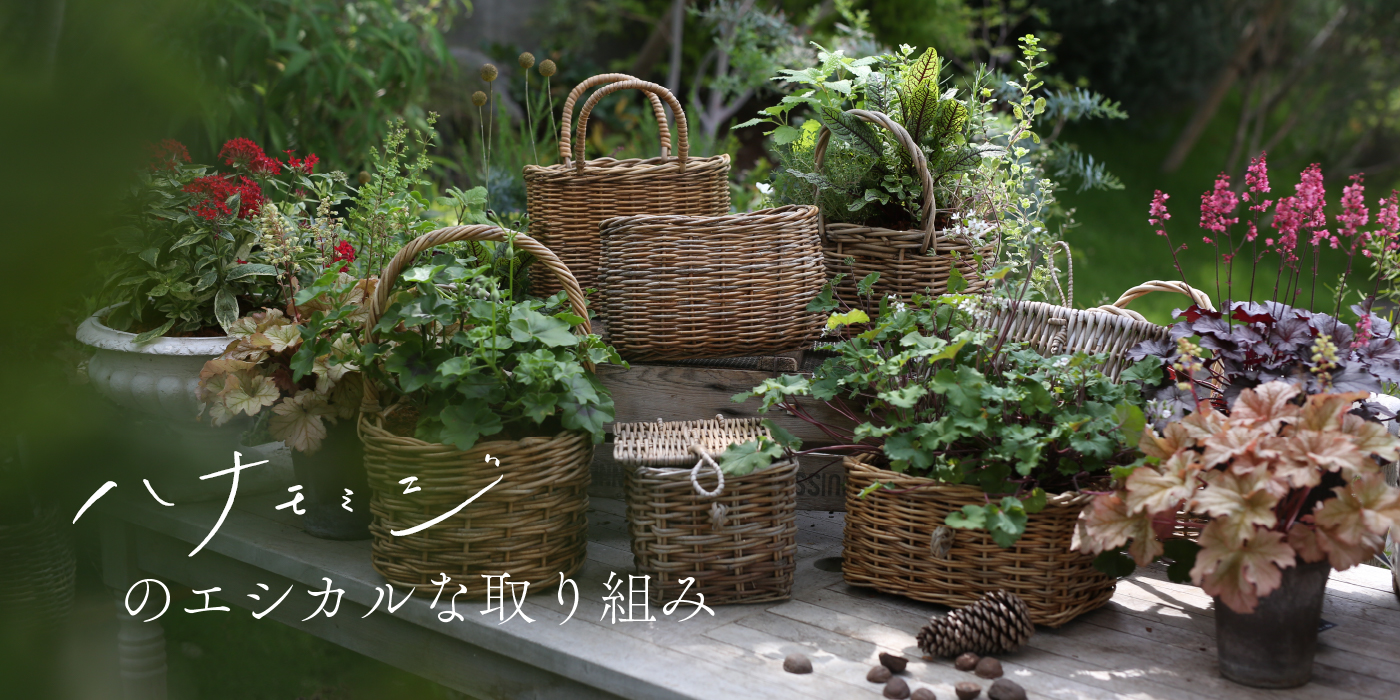 ハナモミジのエシカルな取り組み