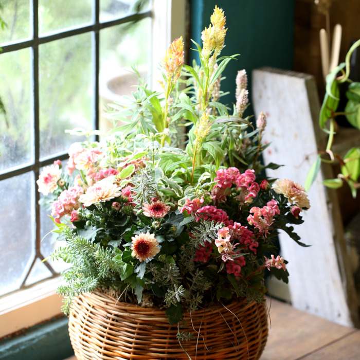 可愛い。爽やかグリーンバスケット✳︎寄せ植え✳︎ブラコラージュフラワー