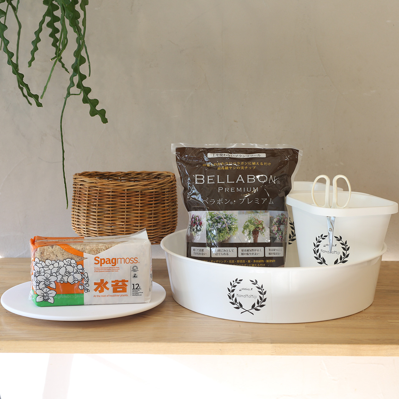 example セットアップ フラワー クリーム 別売り可能‼️ NEWはじめてのブリコラージュフラワーセット［フルセット］ | アトリエ