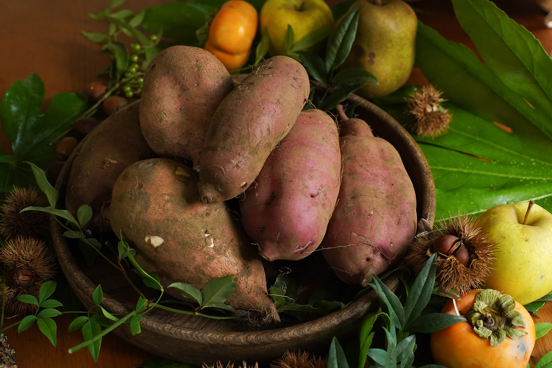 さつまいも タネニハfarmの熟成さつまいもと選べる「多摩のビオラ」セット