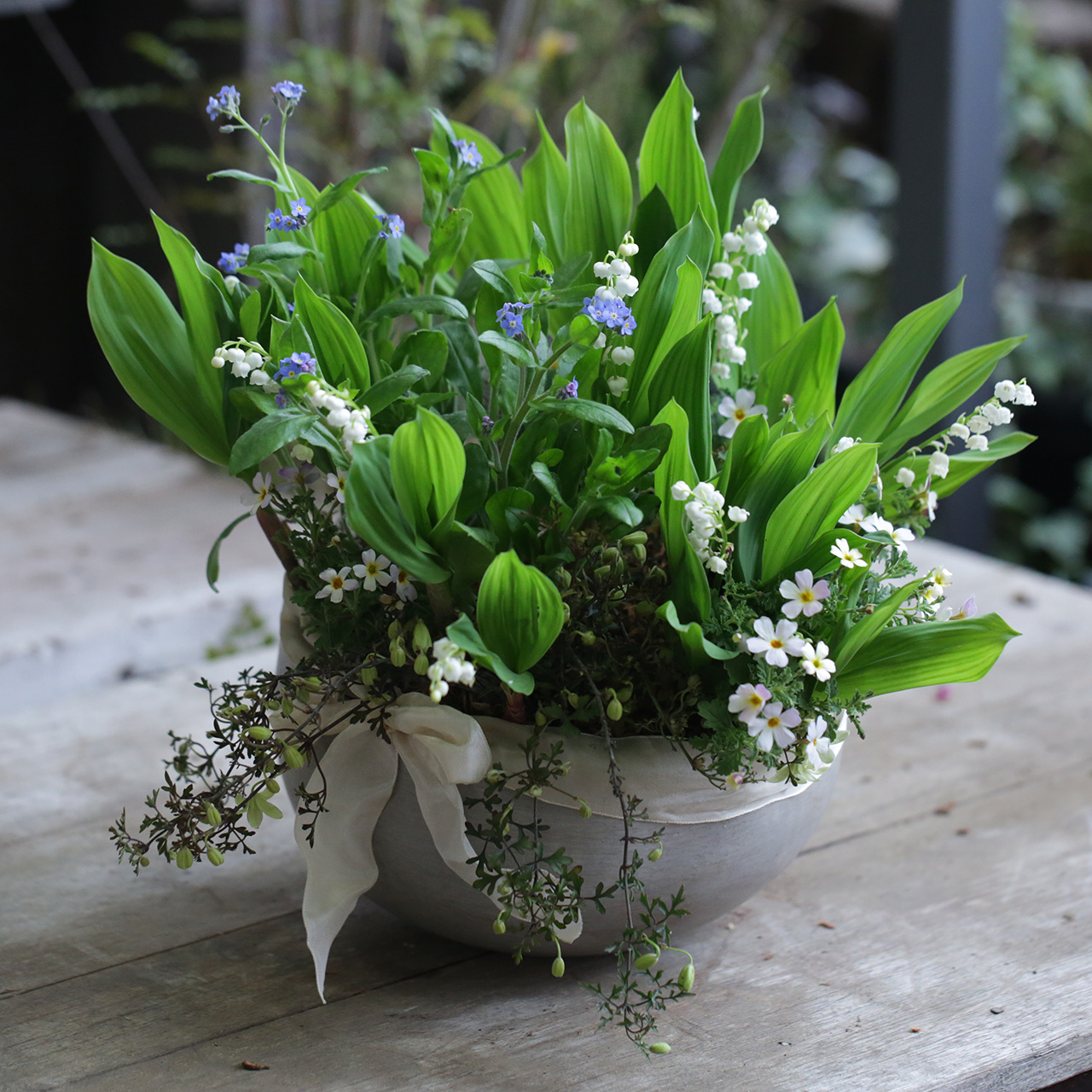 スズラン苗 ミミさん確認用 スズラン様確認専用 スズラン苗 ミミさん確認用