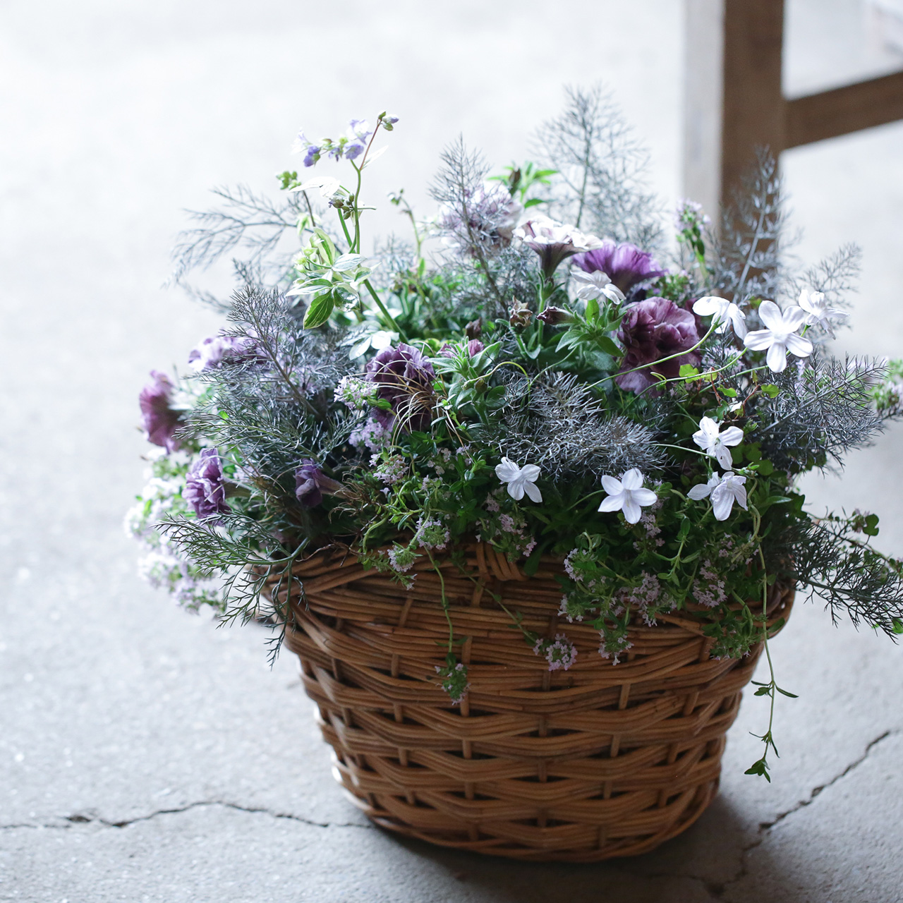【1点もの】ブロンズフェンネルとペチュニアのモダンブリコラージュ(東京発送) アトリエ華もみじ ブリコラージュフラワー