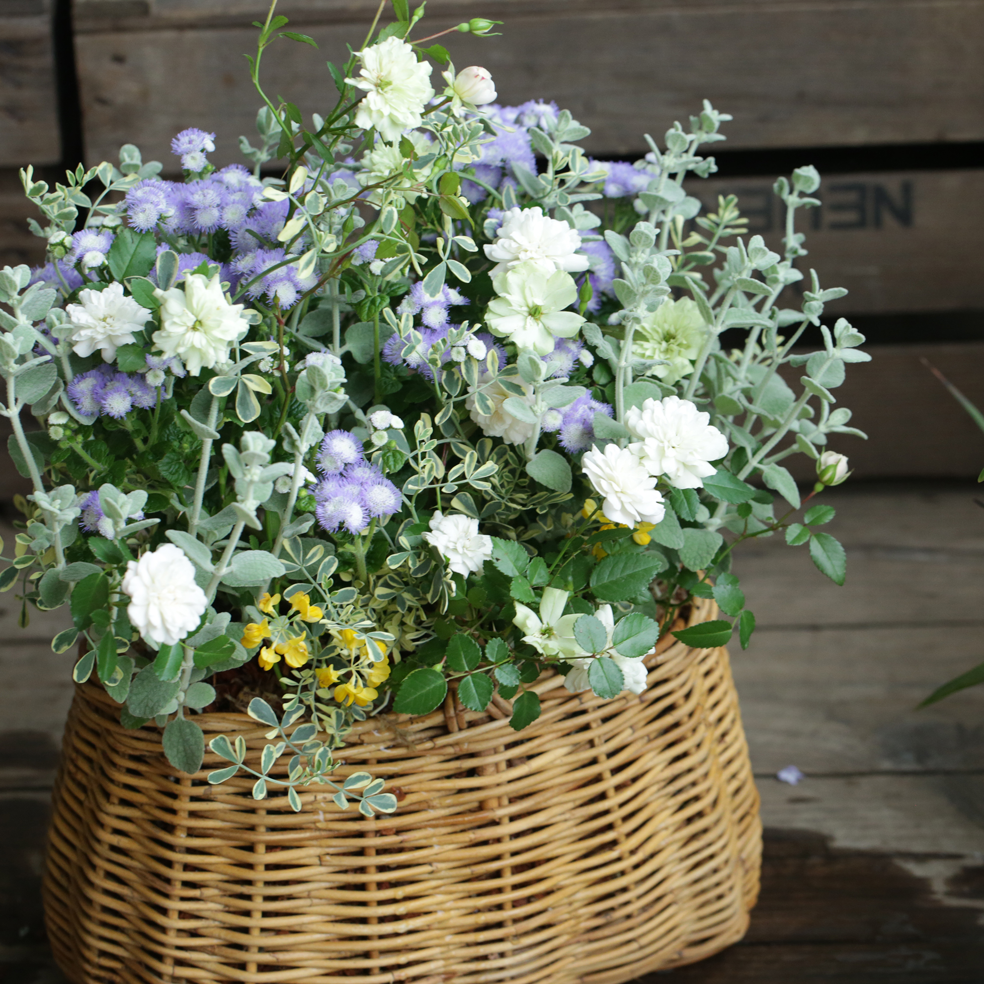 ステンドグラス　ミニバラとプルメリア 813f9af4e91de71e4aa2031fb70ed0