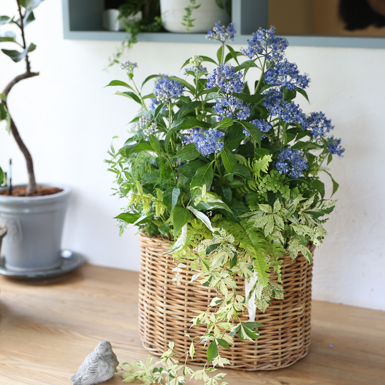 瞳花 1ten_8A5A7183.jpg