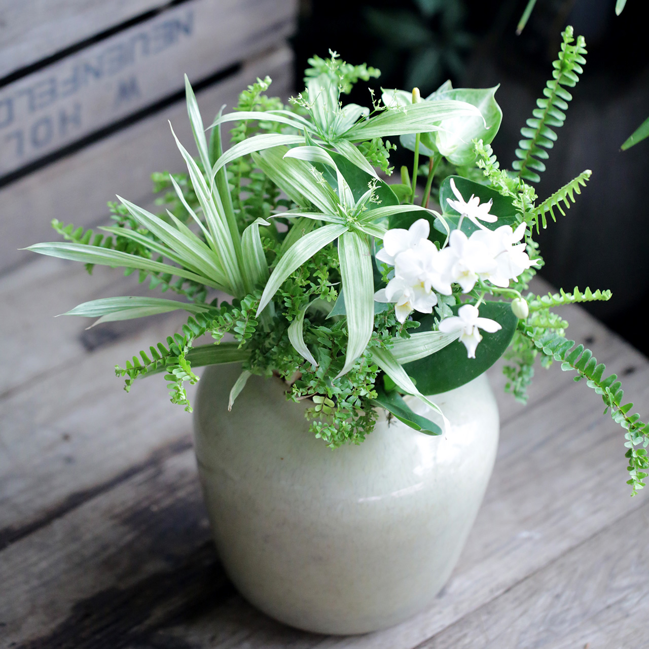 1139 香蘭社 金彩 グリーン白い蝶 花瓶 未使用 花瓶1|有田焼の老舗-香蘭社