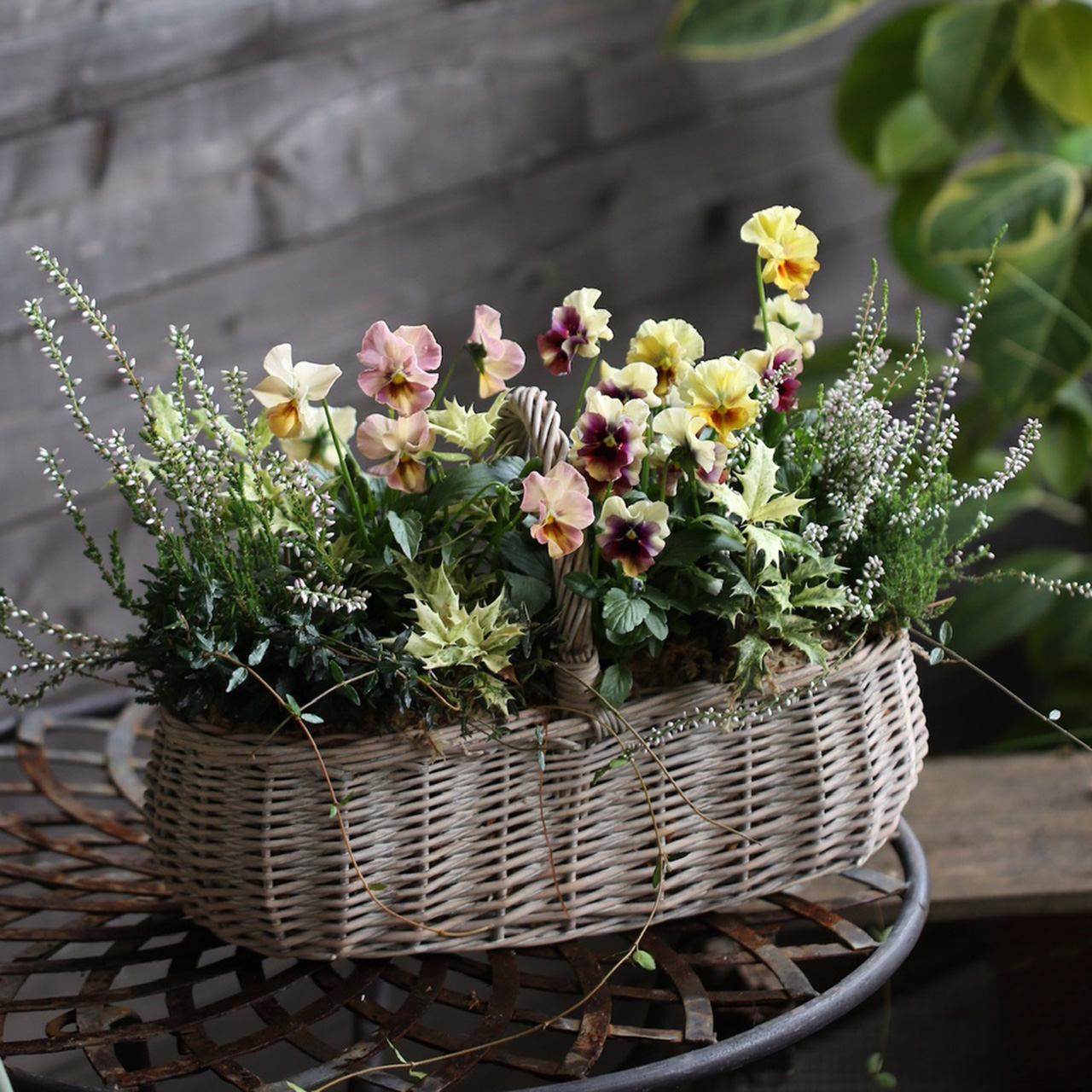 1点もの】アルルの庭のバスケットブリコラージュ（東京発送