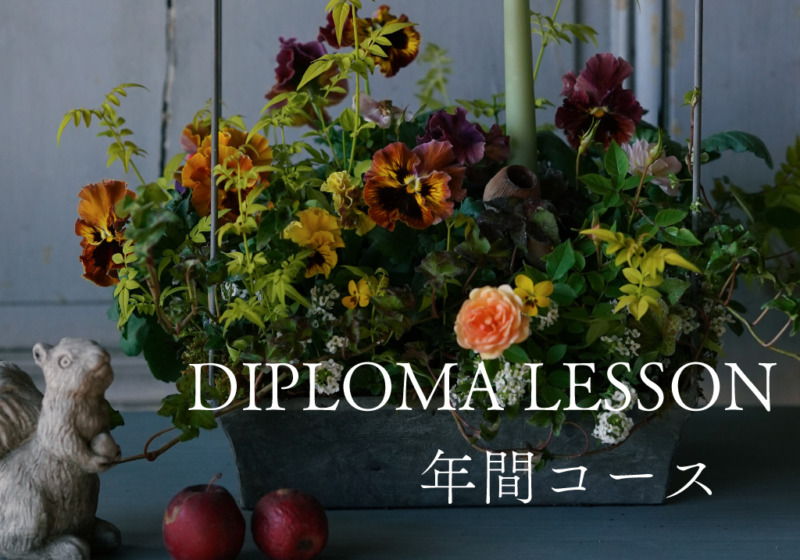 ディプロマ資格認定