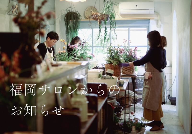福岡サロンからのお知らせ