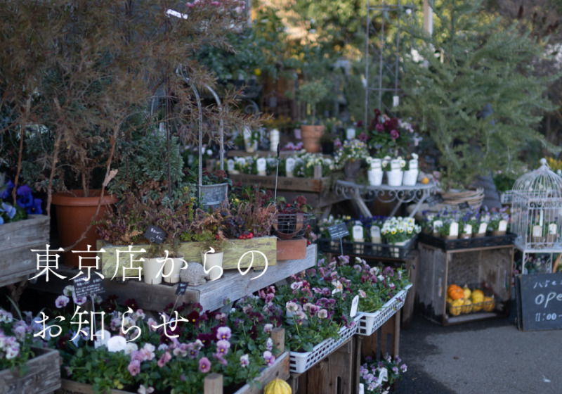 東京店からのお知らせ